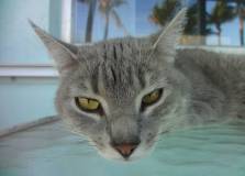 DSC00669-butta