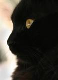 IMG_0481-ws