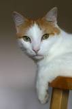 IMG_1362-ws