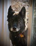 IMG_2583-ws