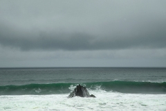 DSC05646-ws