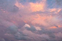 IMG_4452a-ws