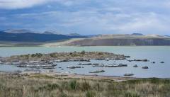 DSC00715-ws