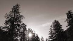 DSC02181-ws