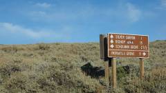 DSC02219-ws