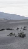 DSC09020-ws