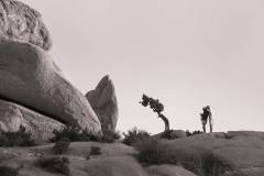 IMG_0435a-ws