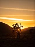 IMG_0457-ws