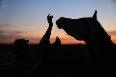 IMG_1356-ws