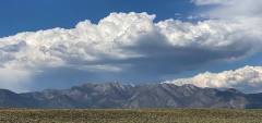 IMG_E1406-ws