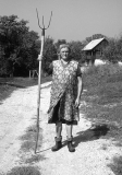 Steffica