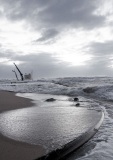Sandy