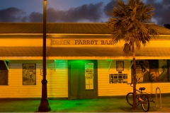 Green Parott