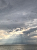 _