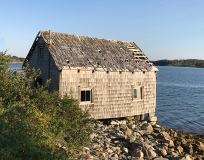 _