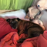 _