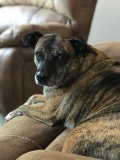 _