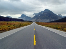 Icefield