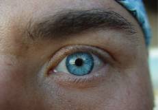 Brians-eye