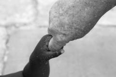 IMG_8349-bw