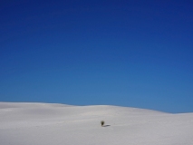 1_DSC07771-ws