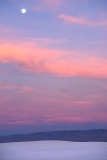 DSC07623-ws