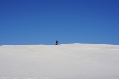 DSC07716-ws
