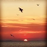 Orange sky