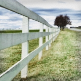 White fence