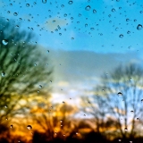Windshield desert