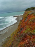 Southern California Coast