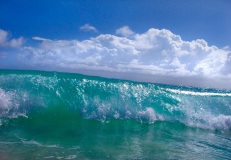 Rare Caribbean Wave - Vieques, Puerto Rico
