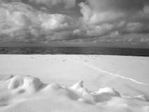 Lake Erie Snow - Hamburg, NY