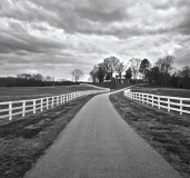 Fences - Greenville, SC