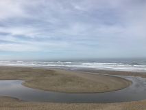 Jenner  Beach - California