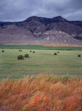 Fields of Red and Green - British Columbia