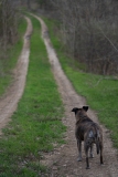 DSC07127-ws