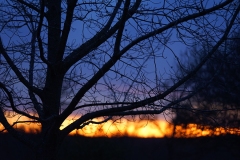 DSC07136-ws