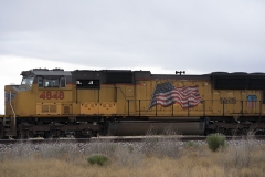DSC07292-ws