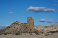 DSC07393-ws