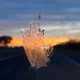 IMG_2444-ws