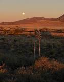 IMG_3118-ws