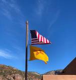 IMG_3785-ws