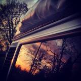 1_westie-sunset-ws