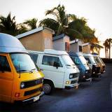 vans-ws