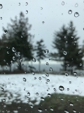 _